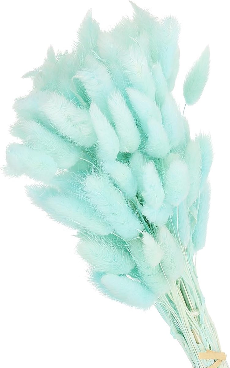 70 Stukken Gedroogde Konijntail - Natuurlijke Gedroogde Bloemen voor Thuisdecoratie - Boho