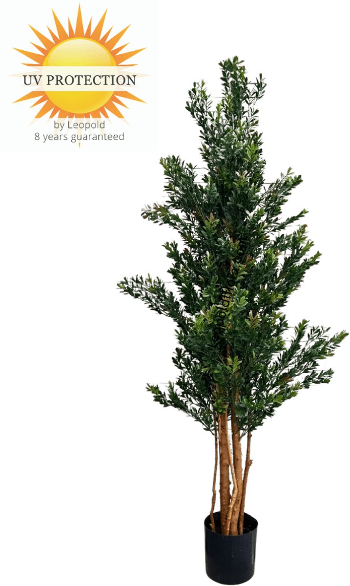 Hoge Kunstplant Buxus 165cm UV groen/rood