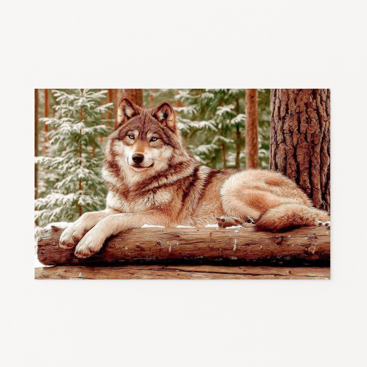 Wolf poster - Muurdecoratie - Wanddecoratie - 70x50 cm