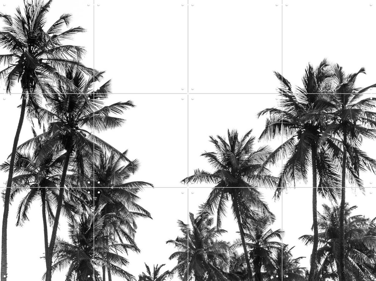 IXXI Palm Trees in Africa, Photolovers - 80 x 60 cm - Gratis ophangtool - Grote wanddecoratie en posters - Fotografie, Woonkamer, Slaapkamer