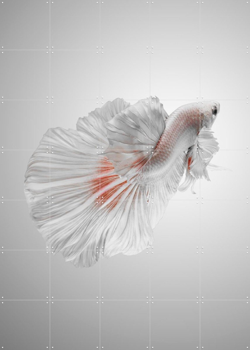 IXXI White Betta, Andi Halil & Various - 100 x 140 cm - Gratis ophangtool - Grote wanddecoratie en posters - Digitale Kunst, Fotografie, Slaapkamer