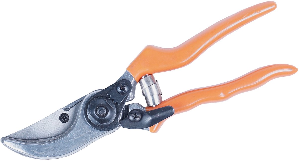 Werkzeyt Snoeischaar Klassiek – 250mm – Aluminium