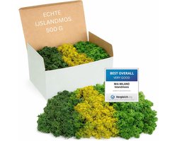 IJslands mos - Decoratie mos - Mosschilderijen maken - Echt geconserveerd mos - 500 gram - Groenmix