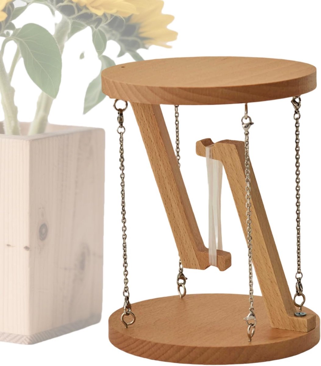 Zwevend Decor - Wetenschappelijk Speelgoed - Bureau Decoratie - Uniek Houten Design - 15x5x5 cm - Natuurhout