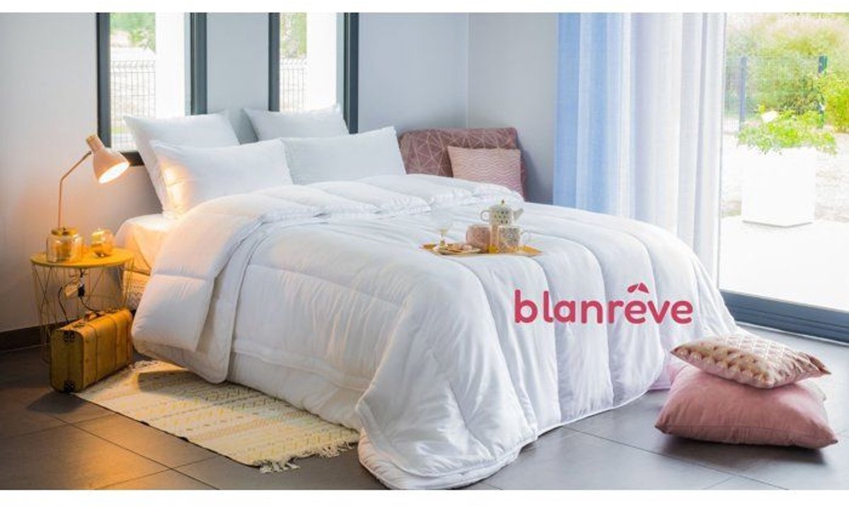 BLANREVE – 4-seizoenen – Donsdeken – 200 x 200 – 420 g/m²