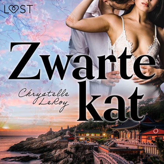 Zwarte kat – Erotisch verhaal - cover