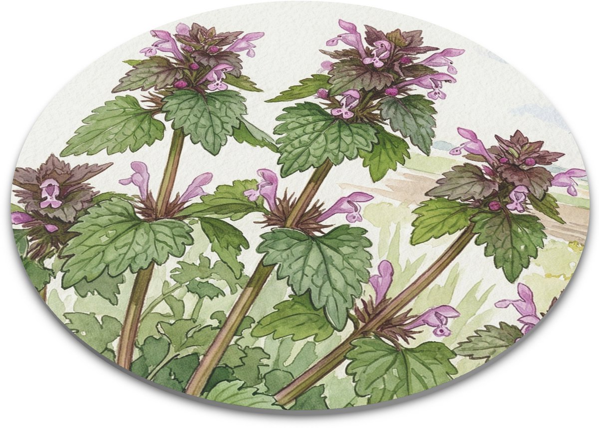 Muismat Rond - Ingesneden Dovenetel Lamium Hybridum - Botanische Natuur Illustratie Roze Bloemen - Bureau Accessoires Thuiswerkplek Inrichting - Cadeau voor haar: Vrouw, Vriendin & Collega - Aquarel Series Kantoorartikelen Computermuis Mat
