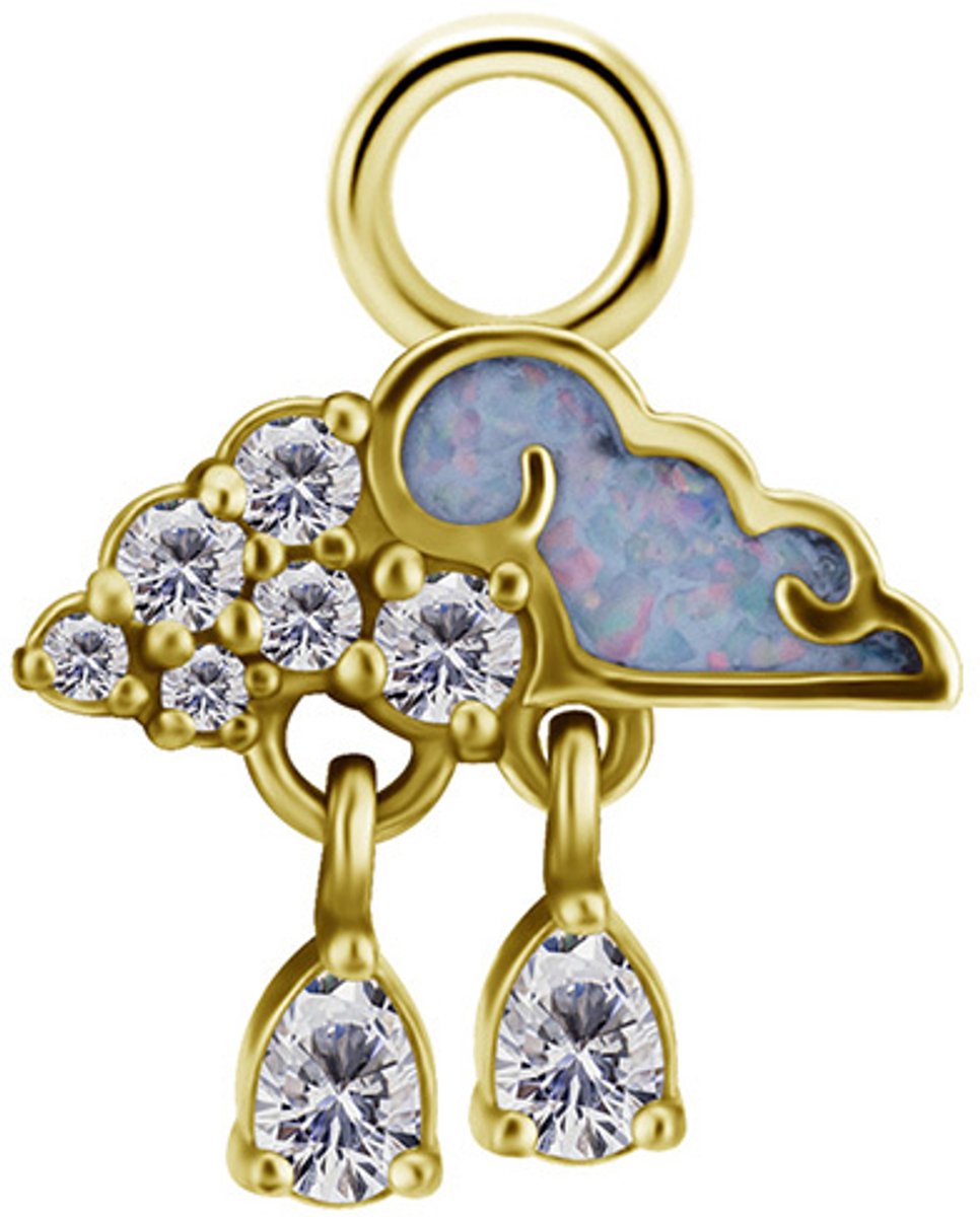 Crazy Needles - CoCr NF Charms - Goud - Chroom-Kobalt - Chique Ontwerp
