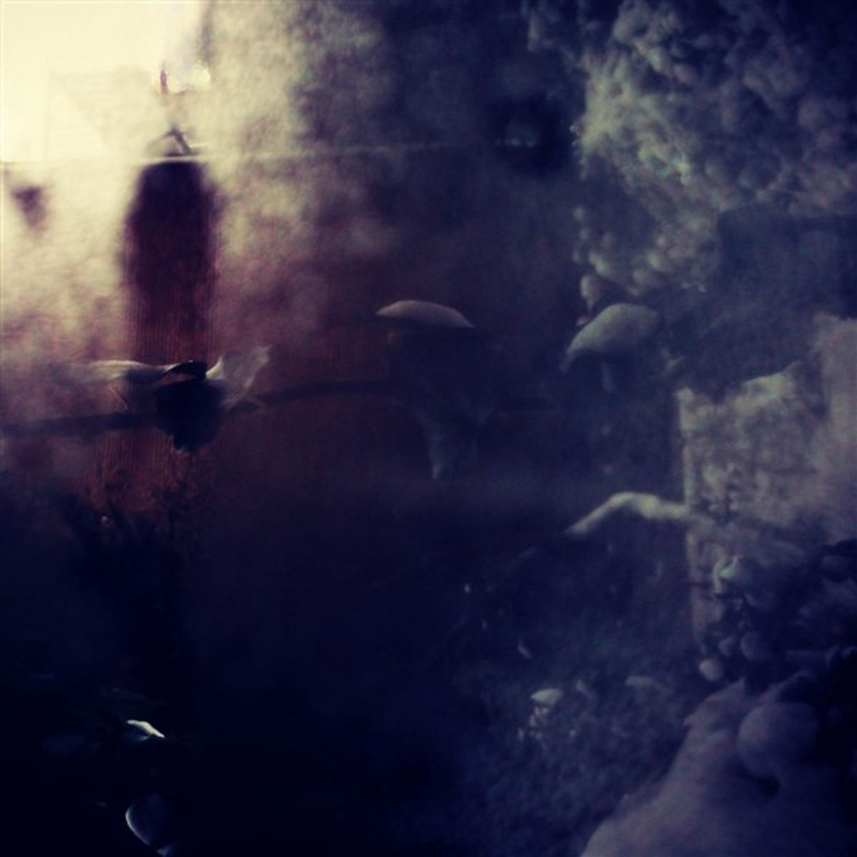 Mirusi Mergina - Whispers Of Danger (LP)
