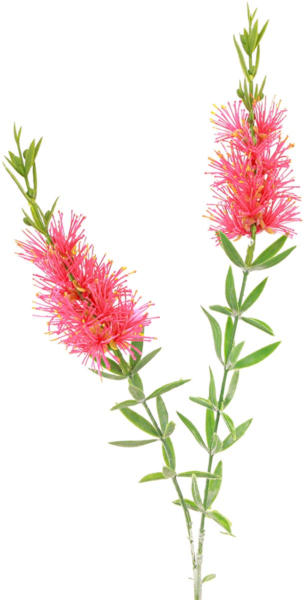 Viana Kunstbloemen Rood Karmijn Cilinderreinigers 70cm 3st