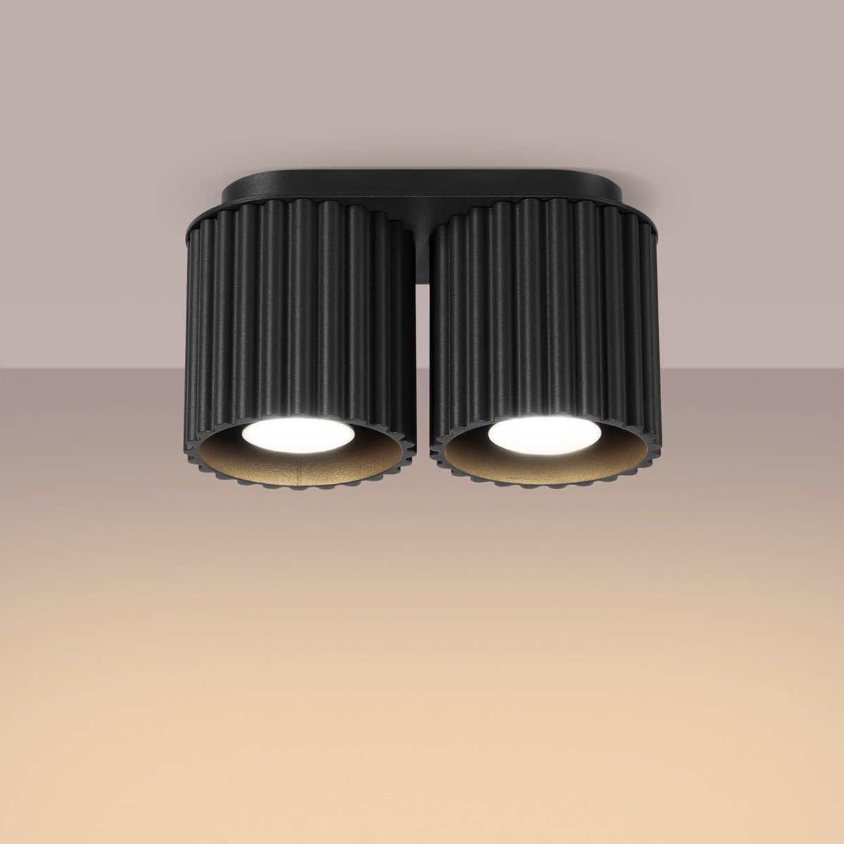 Zwarte Dubbele Plafondspot met Aluminium Bevestiging en LED