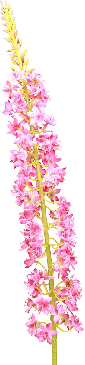 Steppe kaars Desert Tail Roze 106cm