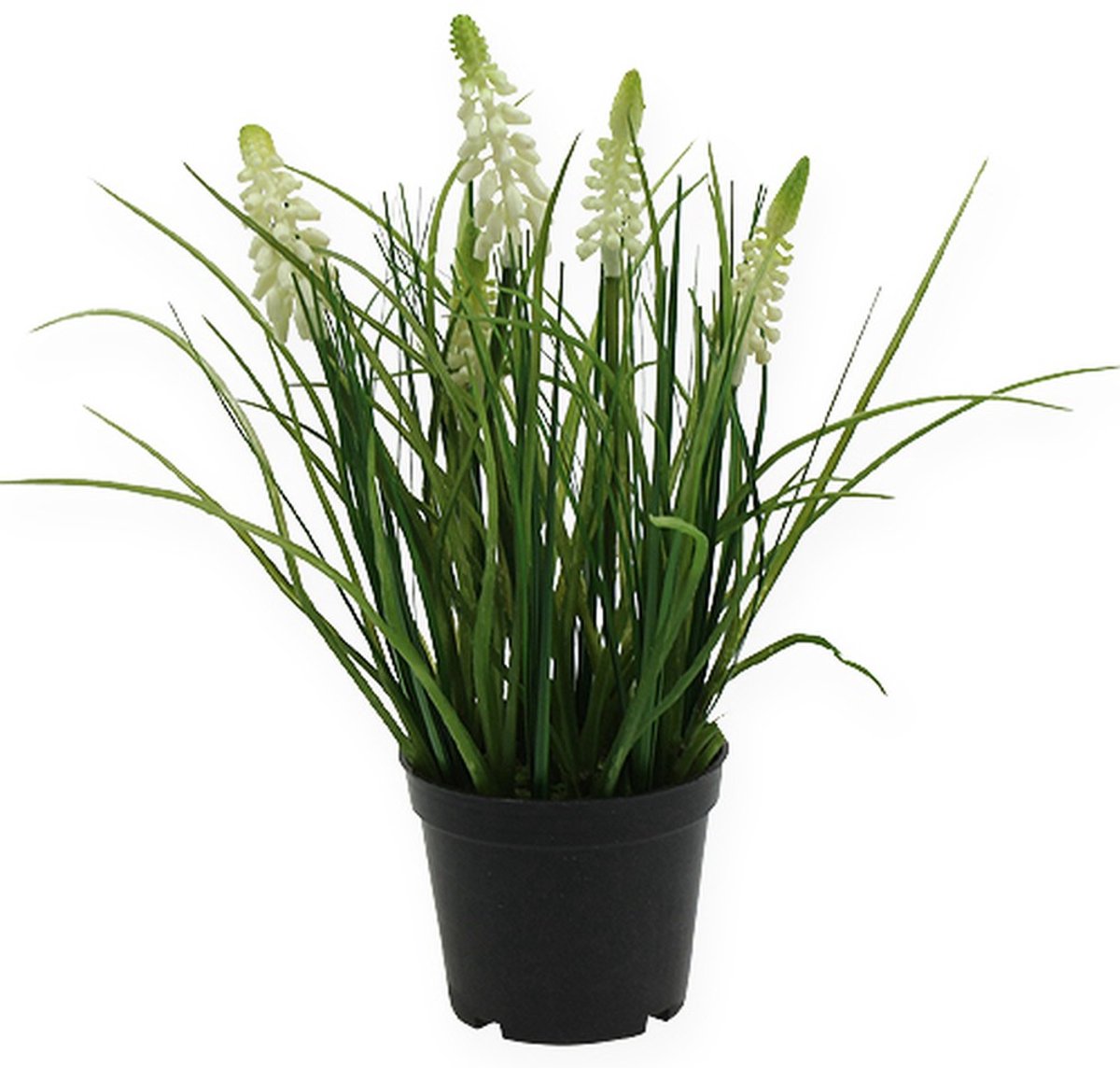 Viana Deco druif hyacint crème in pot 26cm Groente