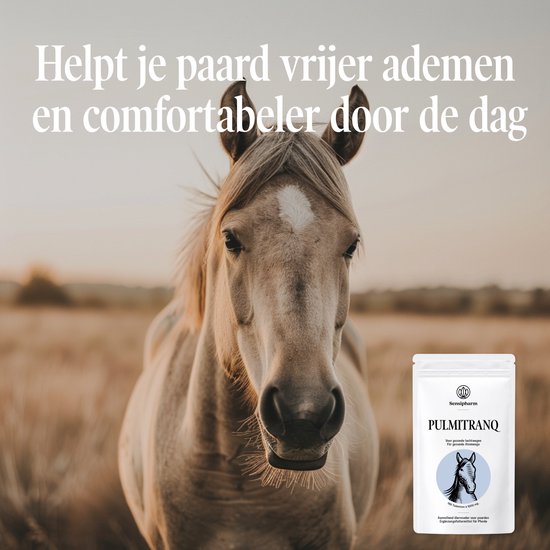 Geria Comfort - 1000 mg. 180 tabletten - Paard