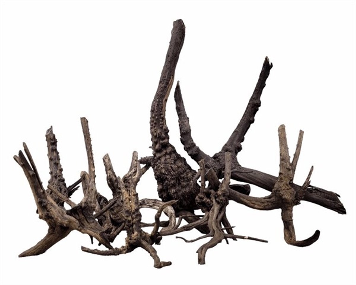 WIO Black Tree Trunk Wood M | 20-30CM