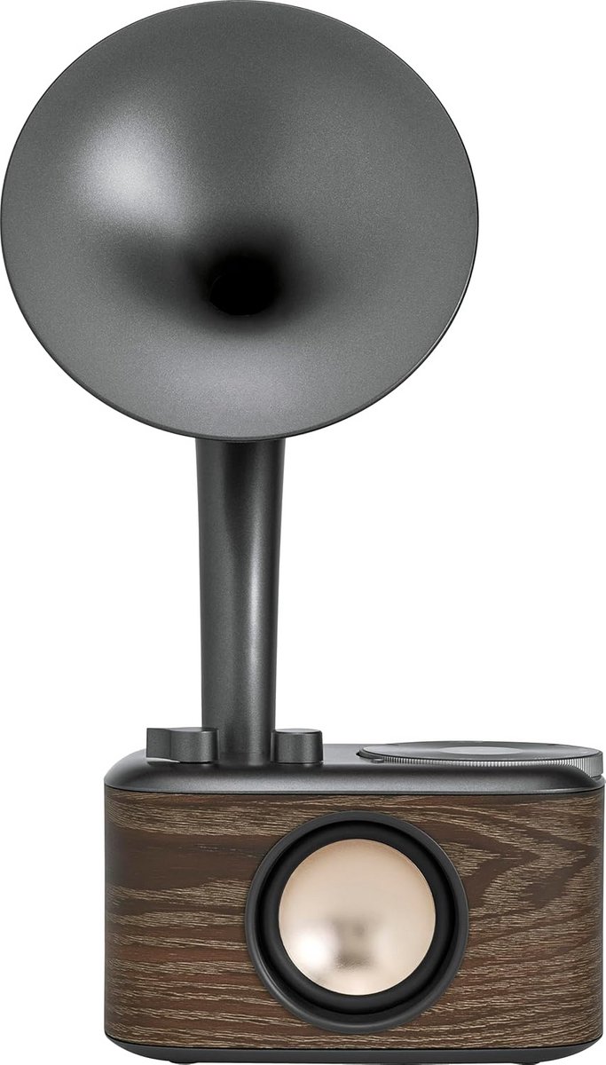 Draagbare FM Radio met Bluetooth en Houten Behuizing