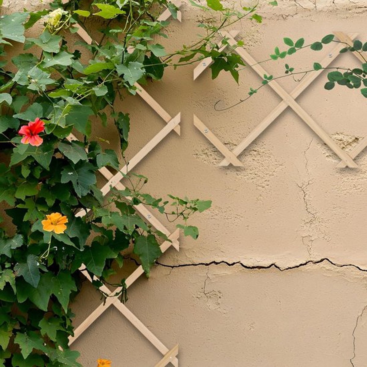 Candala Trellis uitschuifbaar, - 180 x 30 cm - set van 3 - Hout