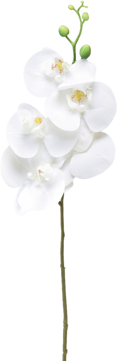 Witte kunstorchidee Phalaenopsis Real Touch 85cm
