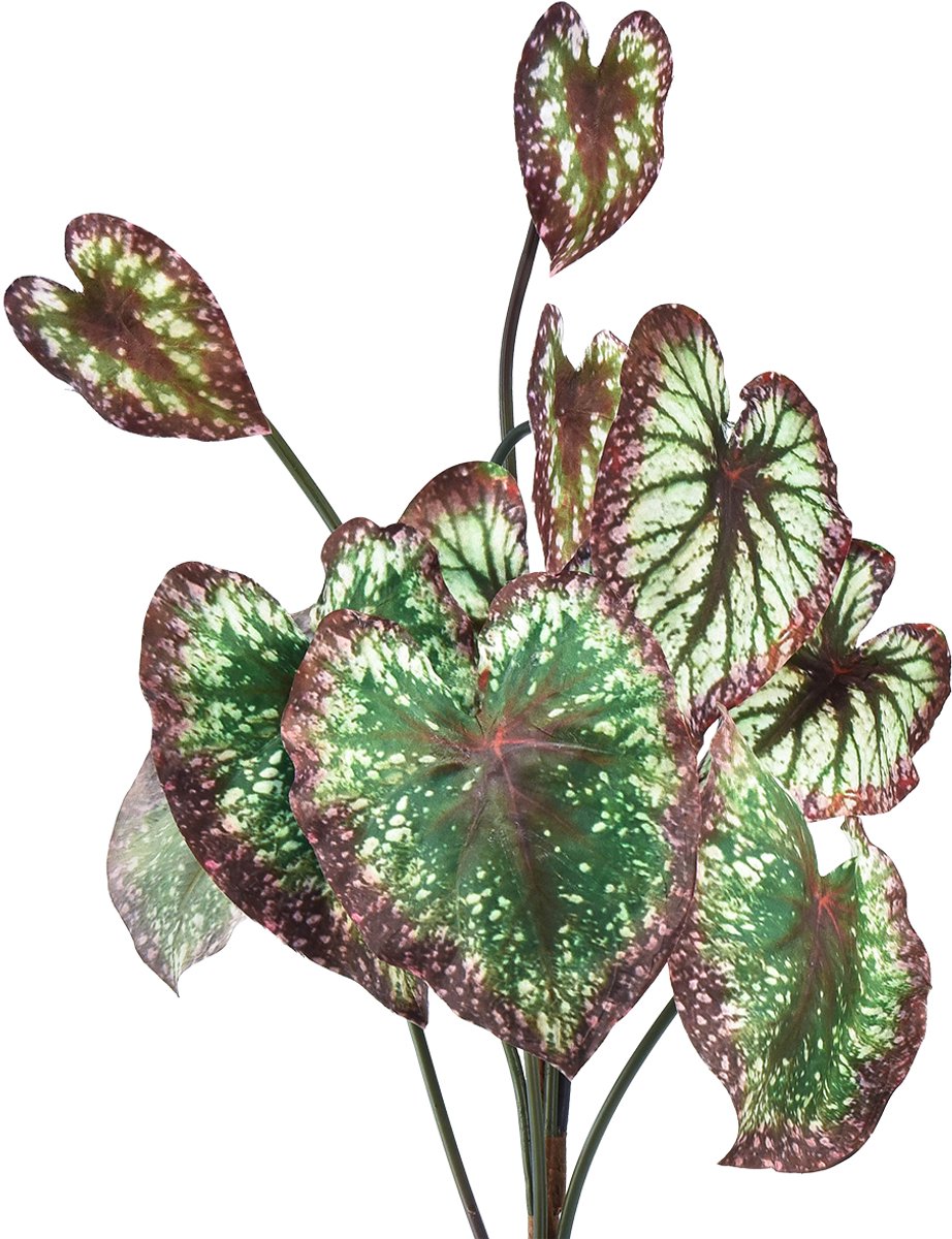 Viana Begonia Kunstplanten Bladbegonia's Groen Paars 62cm groente