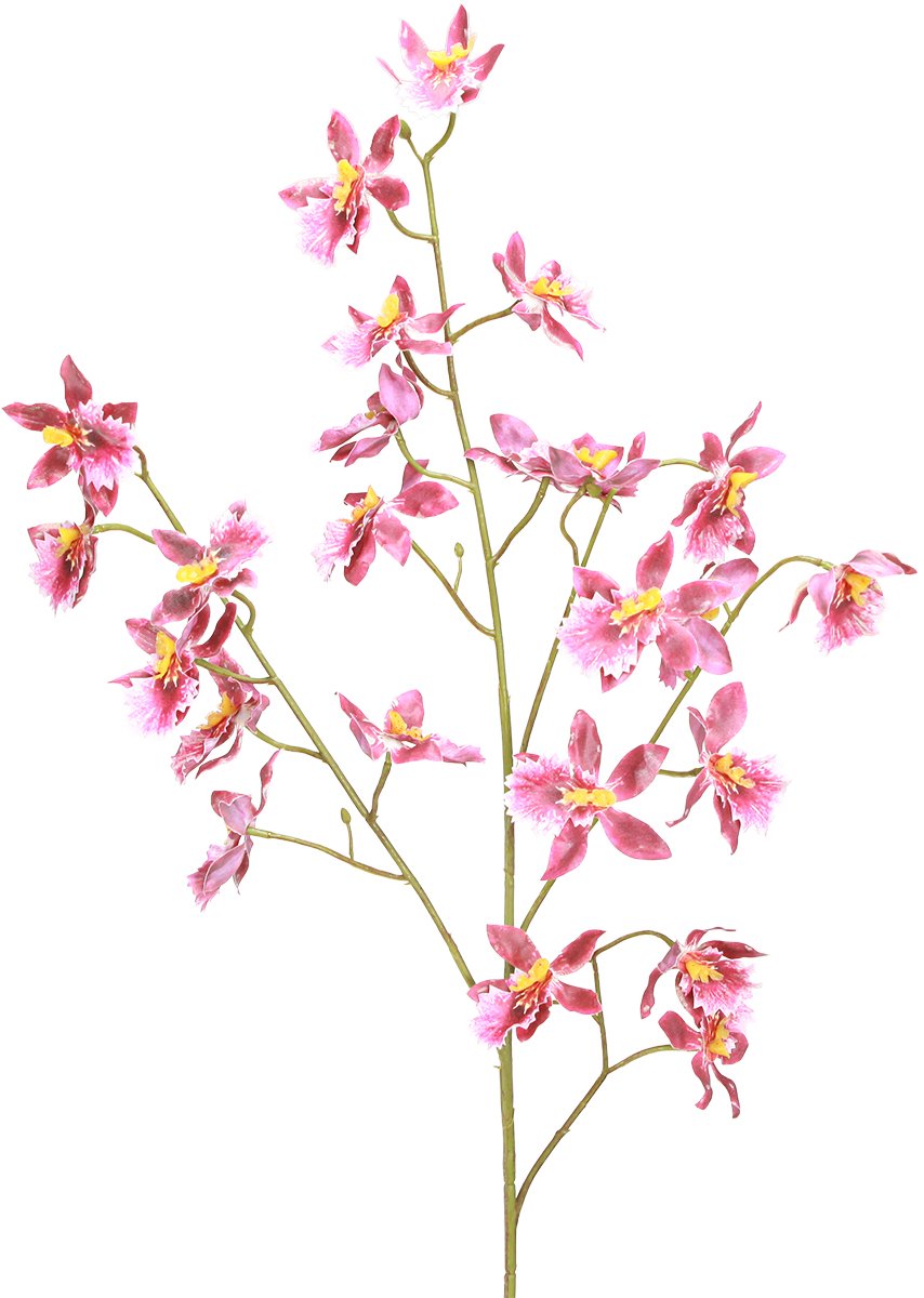 Viana Oncidium Kunstorchideeën Decoratie Roze Violet 93cm 2st, 2 Stück