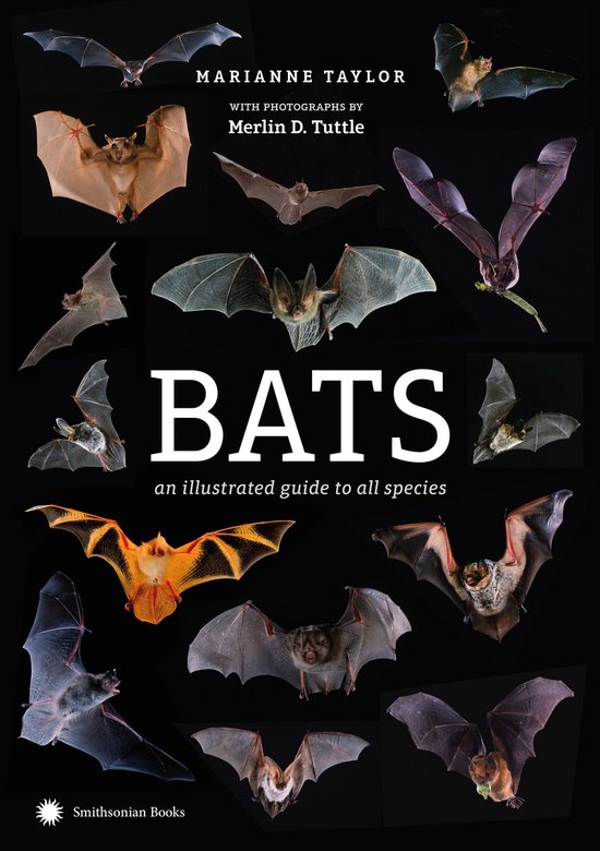 Bats - cover