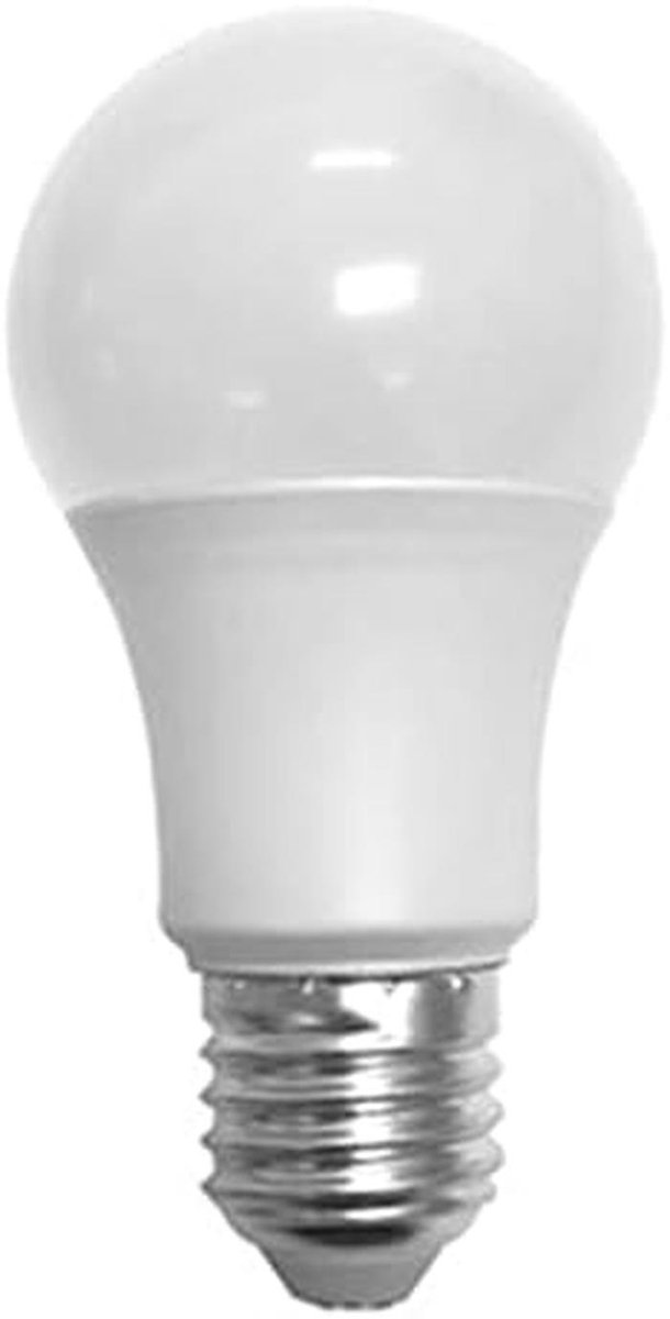 Grote LED Lamp E27 9W Koud Wit Licht Energiezuinig