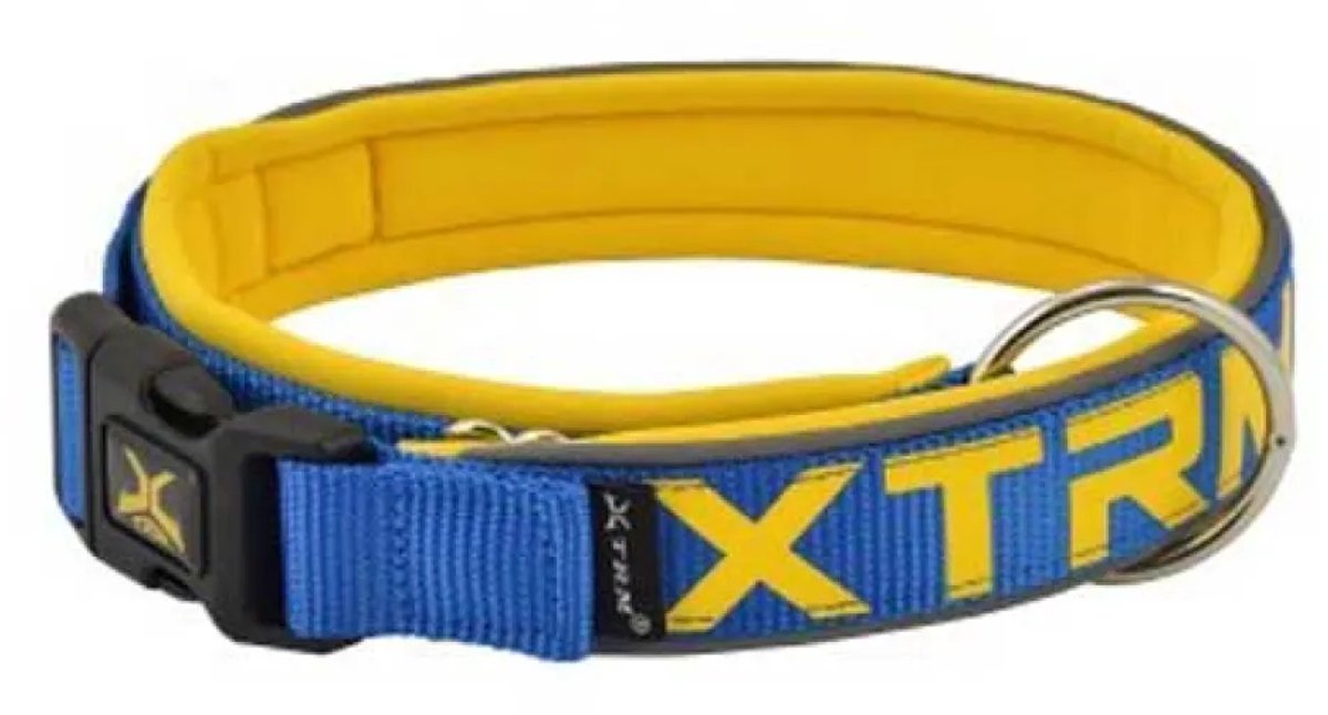 Nayeco X-trm Neon Flash Hondenhalsband Blauw 38 mm x 50-70 cm