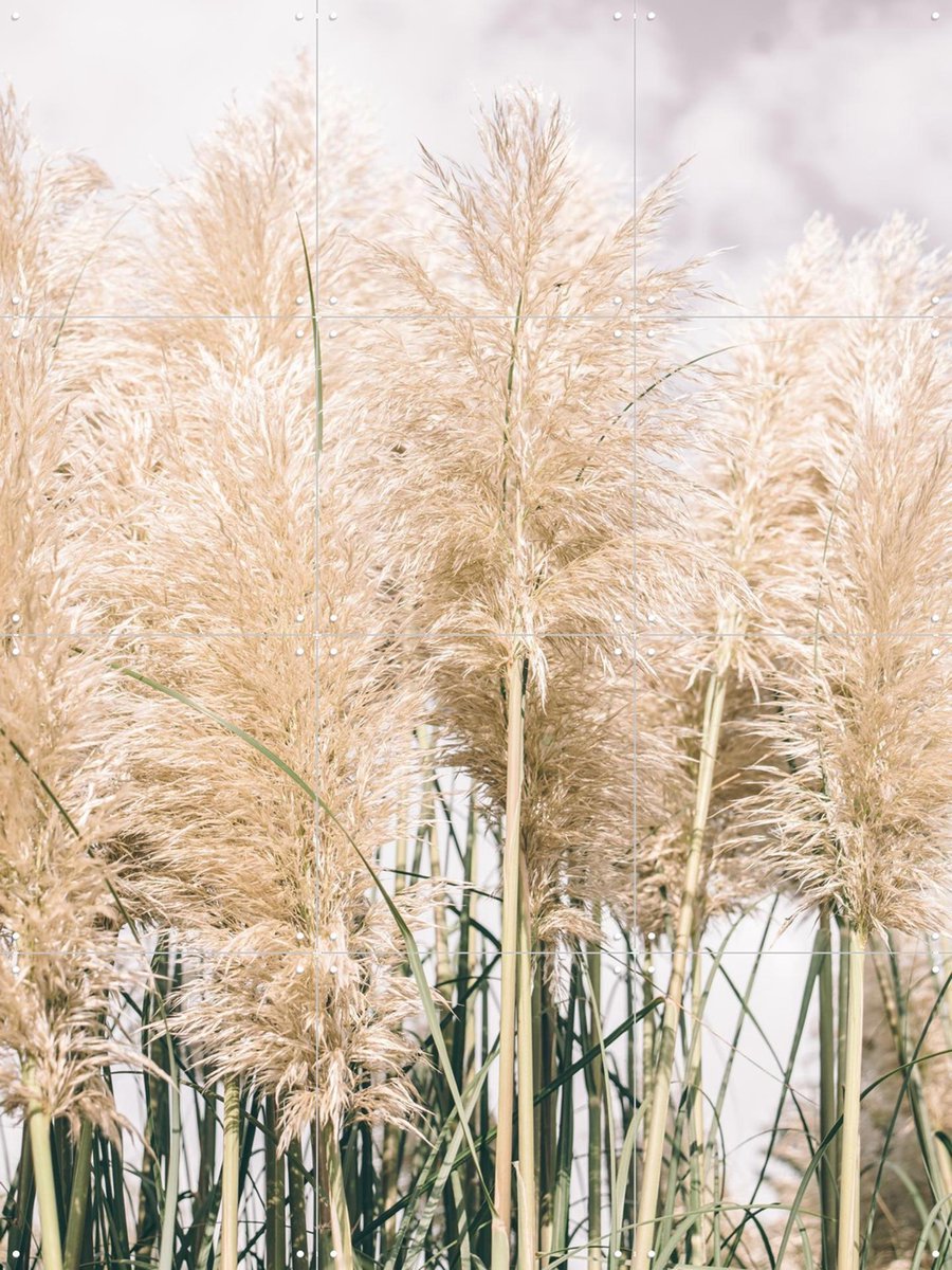 IXXI Boho Palm Grass, Pati Photography - 60 x 80 cm - Gratis ophangtool - Grote wanddecoratie en posters - Naturalisme, Fotografie, Slaapkamer