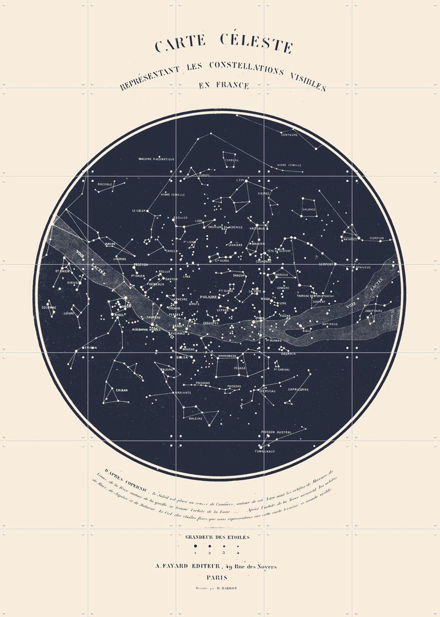 IXXI Carte Celeste Dark Blue, Aster Edition - 100 x 140 cm - Gratis ophangtool - Grote wanddecoratie en posters - Klassiek, Vintage, Houtsnede