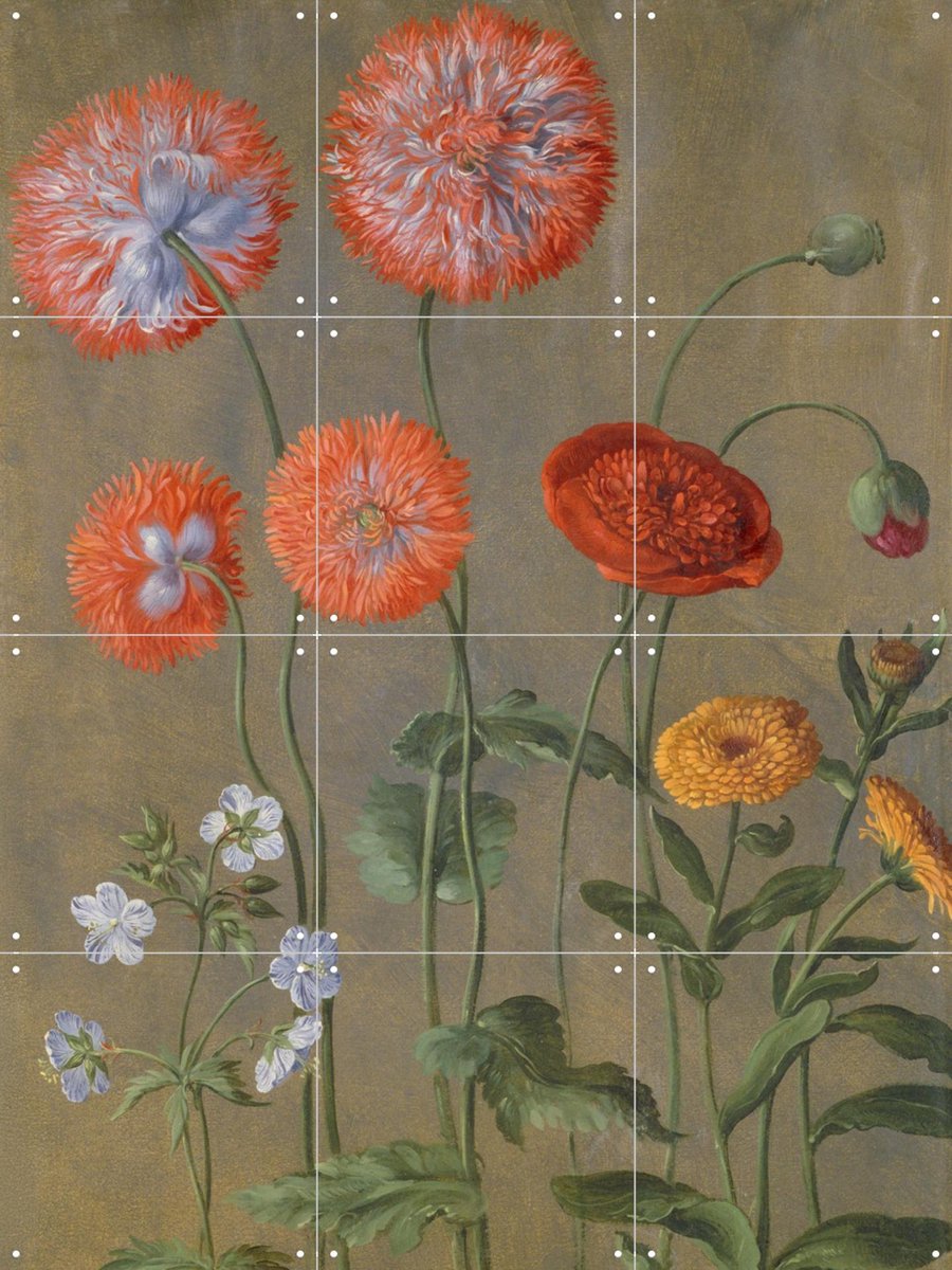 IXXI Poppies, Johann Jakob Walther & Victoria and Albert Museum - 60 x 80 cm - Gratis ophangtool - Grote wanddecoratie en posters - Realisme