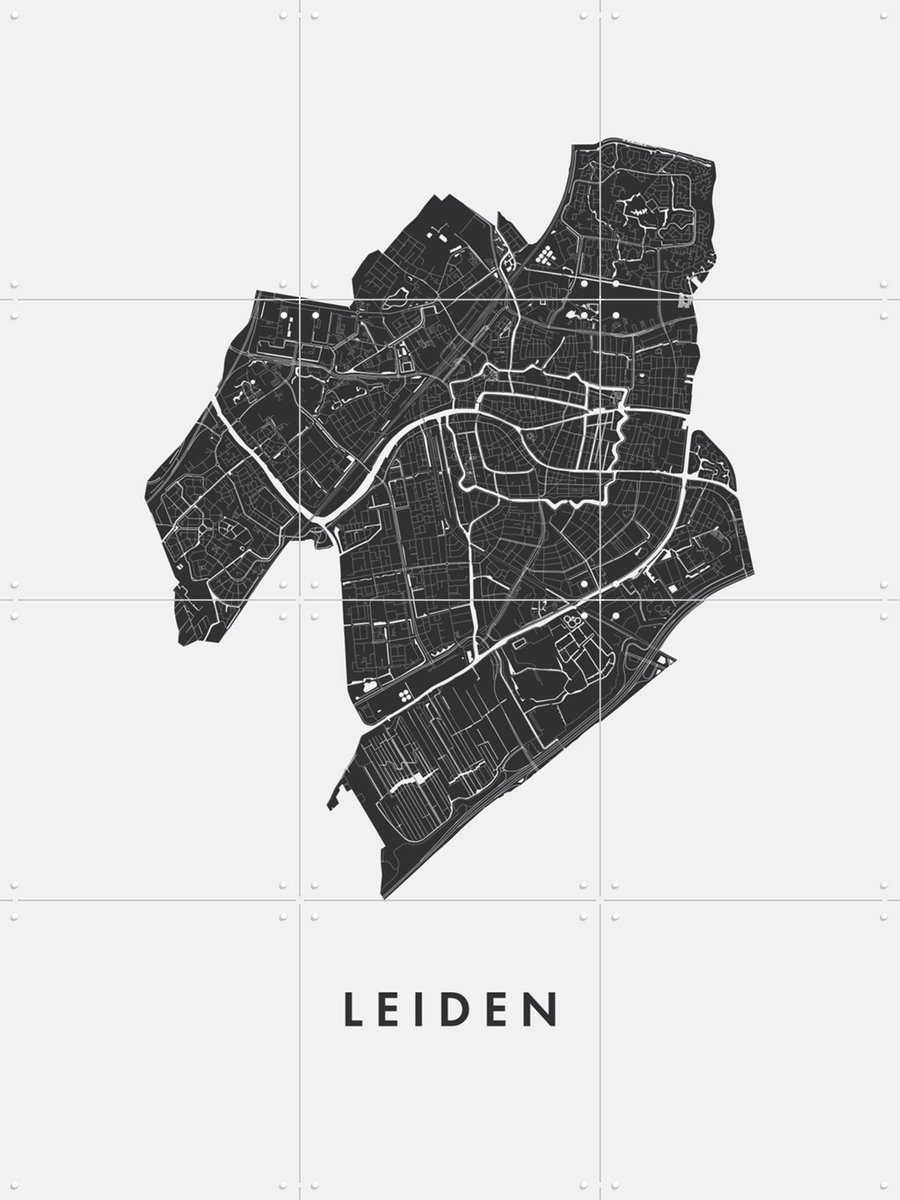 IXXI Leiden City Map, Kunst in Kaart - 60 x 80 cm - Gratis ophangtool - Grote wanddecoratie en posters - Technische Tekening, Grafisch Ontwerp, Line