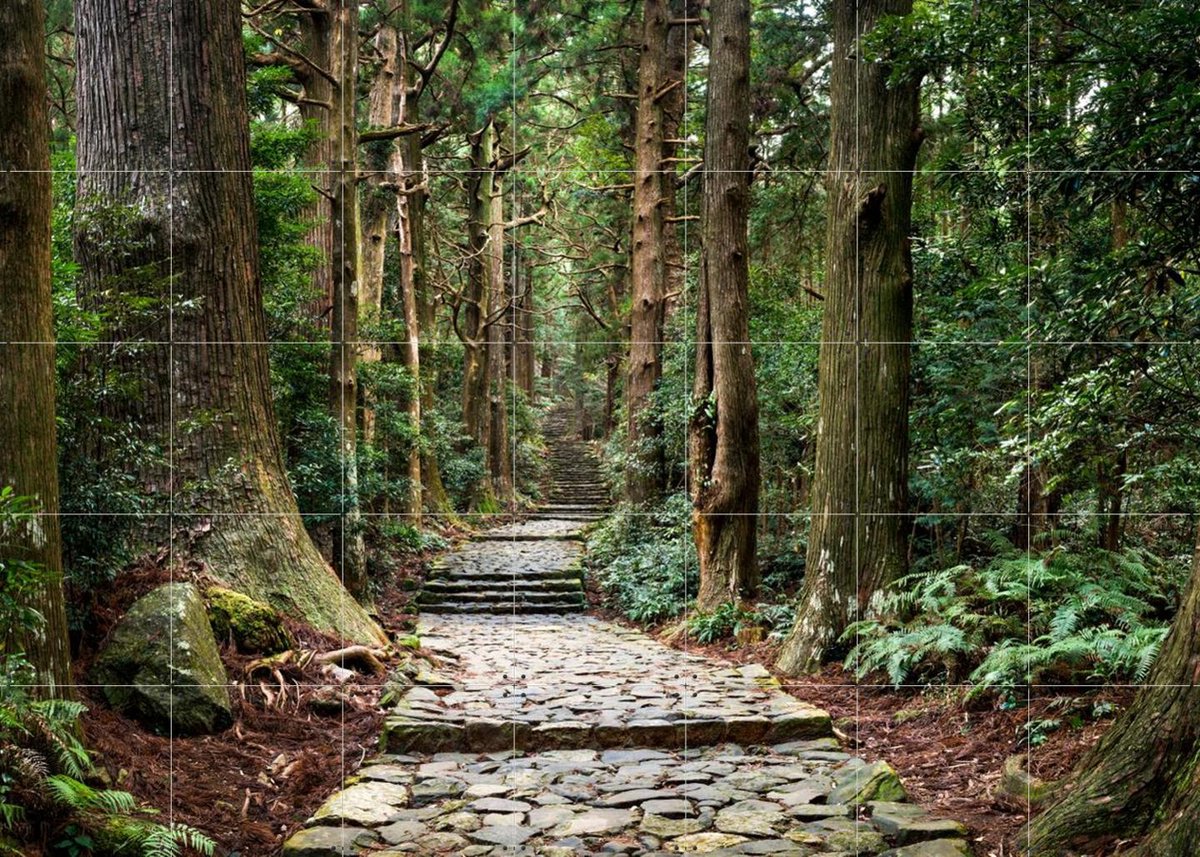 IXXI Kumano Kodo Pilgrimage Route, Jan Becke - 140 x 100 cm - Gratis ophangtool - Grote wanddecoratie en posters - Naturalisme, Fotografie, Woonkamer