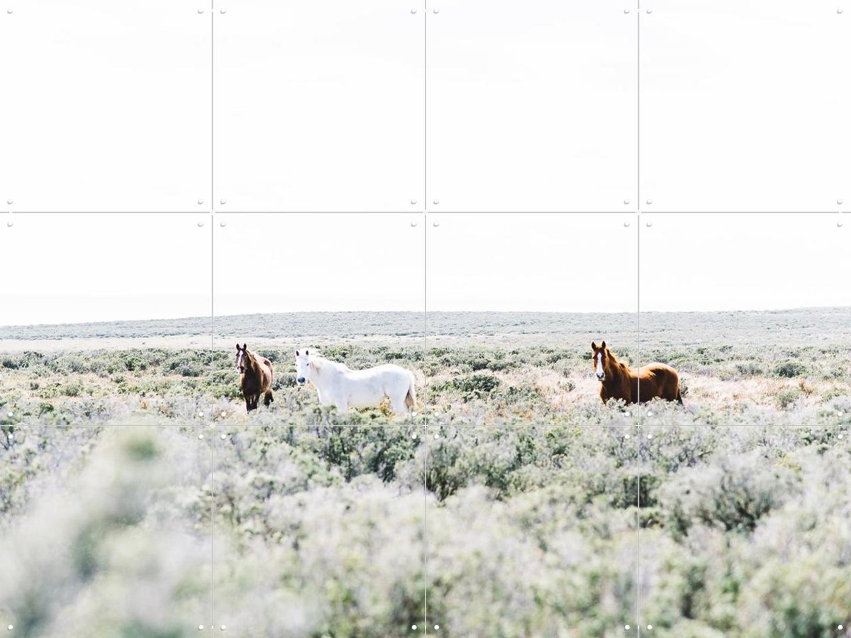 IXXI Wild Horses, Chris Abatzis - 80 x 60 cm - Gratis ophangtool - Grote wanddecoratie en posters - Fotografie, Naturalisme, Slaapkamer, Woonkamer
