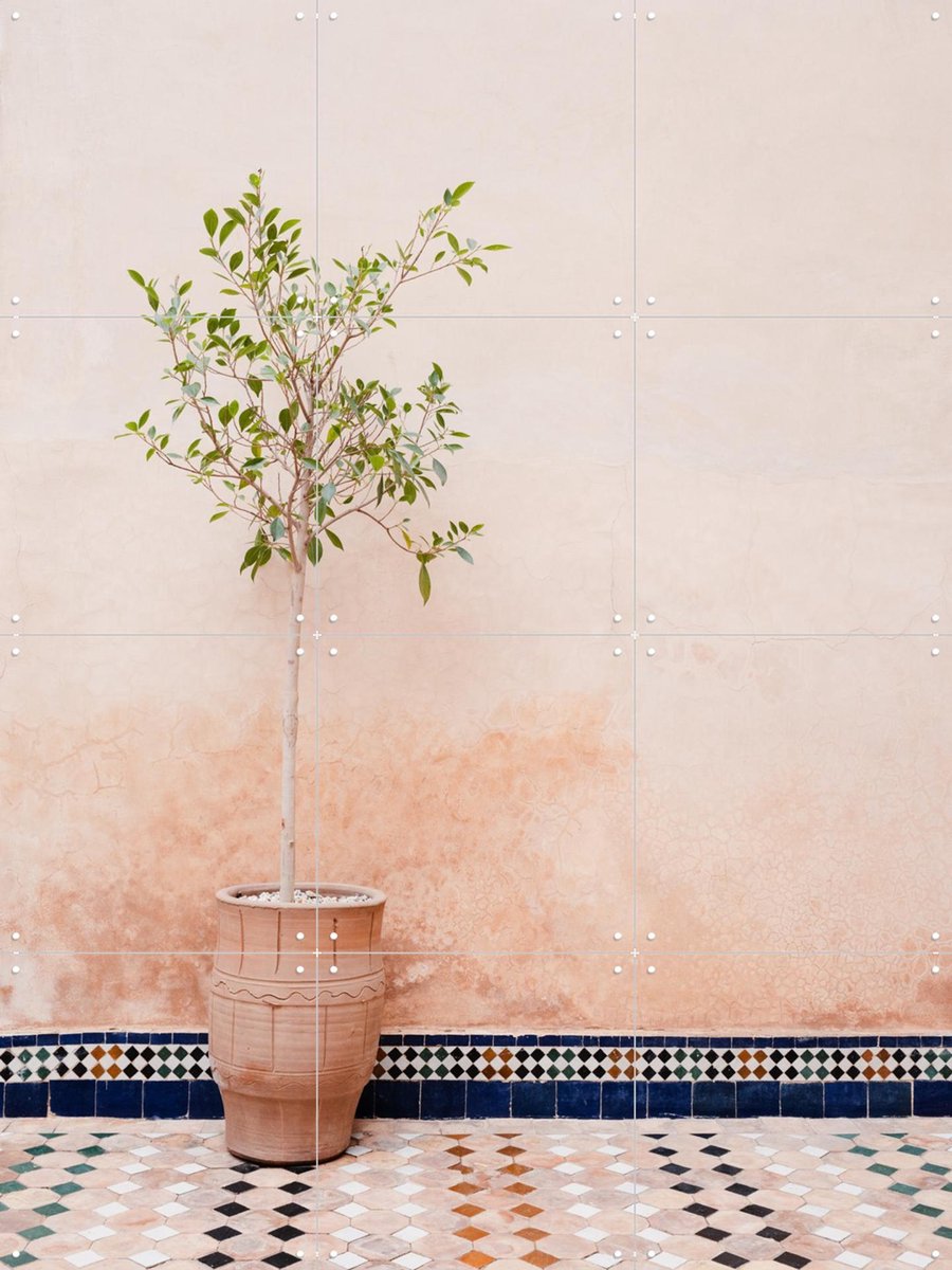 IXXI Terracotta Plant In Morocco, Photolovers - 60 x 80 cm - Gratis ophangtool - Grote wanddecoratie en posters - Minimalisme, Naturalisme