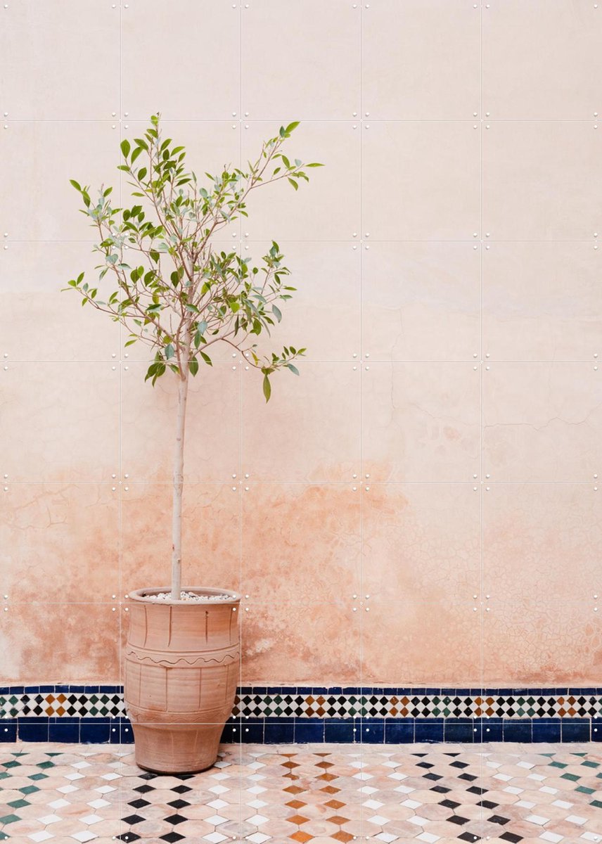 IXXI Terracotta Plant In Morocco, Photolovers - 100 x 140 cm - Gratis ophangtool - Grote wanddecoratie en posters - Minimalisme, Naturalisme