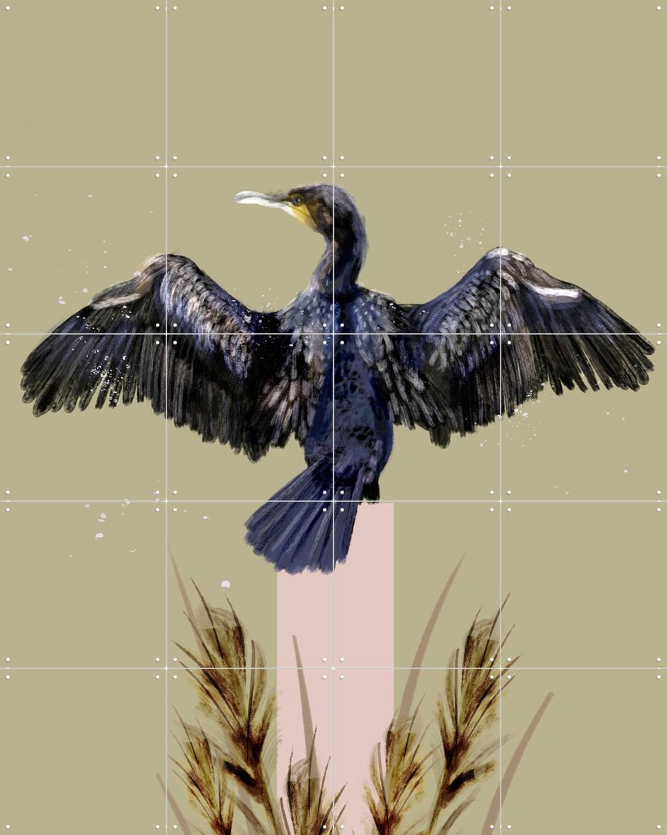 IXXI Cormorant, Esther Sepers - 80 x 100 cm - Gratis ophangtool - Grote wanddecoratie en posters - Kleurrijk, Digitale Kunst, Illustraties, Woonkamer