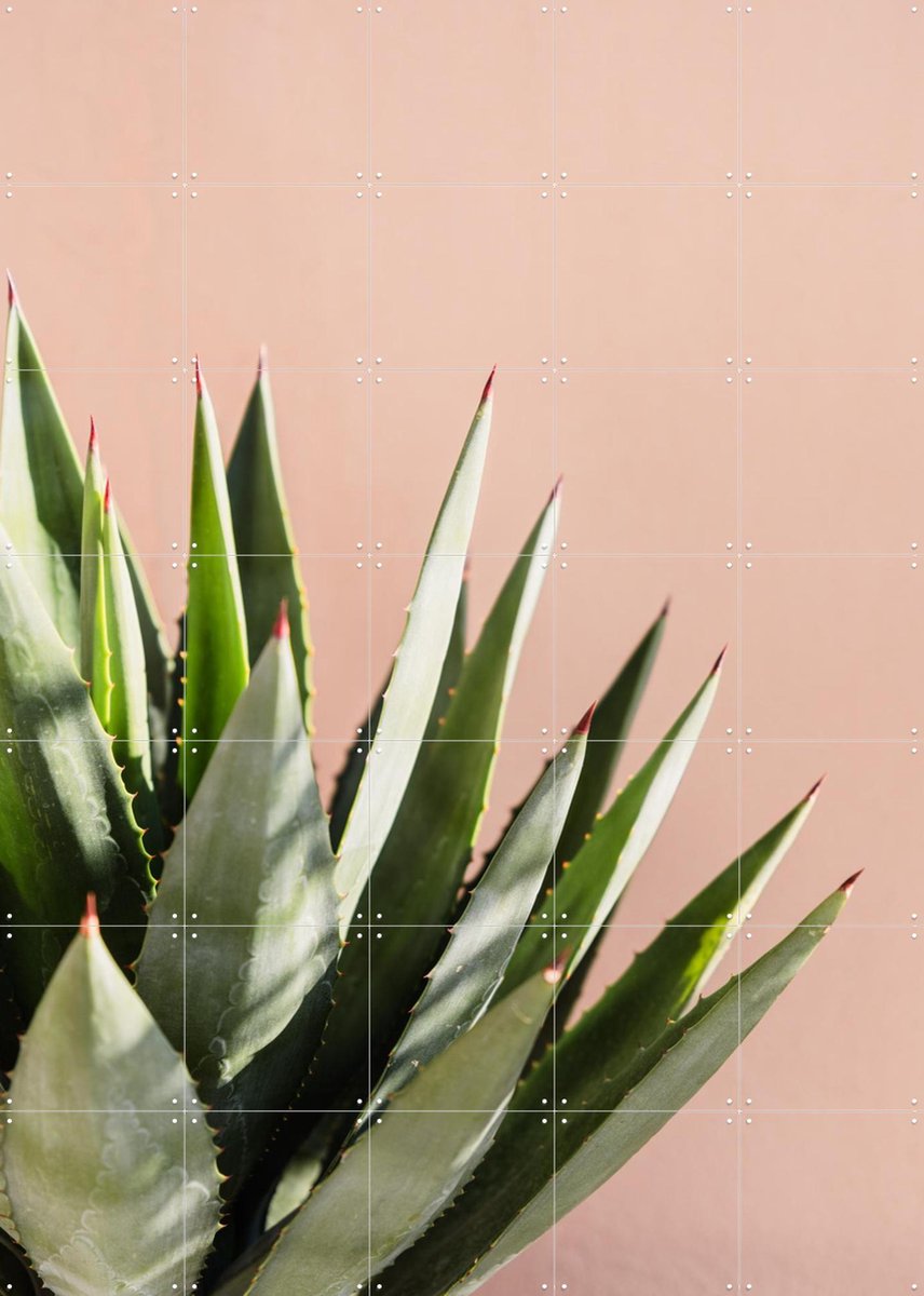 IXXI Green Plant Pink Wall, Photolovers - 100 x 140 cm - Gratis ophangtool - Grote wanddecoratie en posters - Fotografie, Minimalisme, Naturalisme