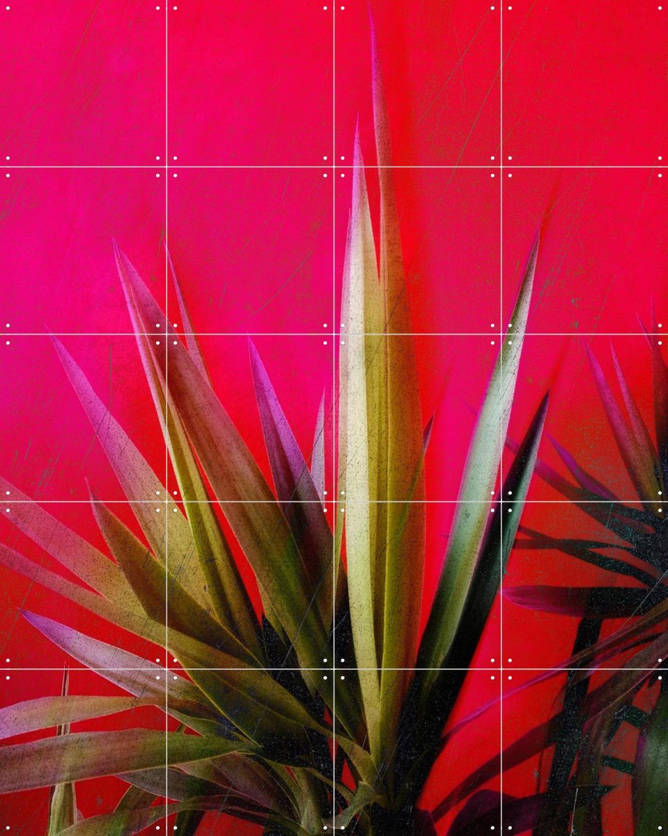 IXXI Magenta and Green, Angelo Cerantola - 80 x 100 cm - Gratis ophangtool - Grote wanddecoratie en posters - Abstract, Kleurrijk, Digitale Kunst