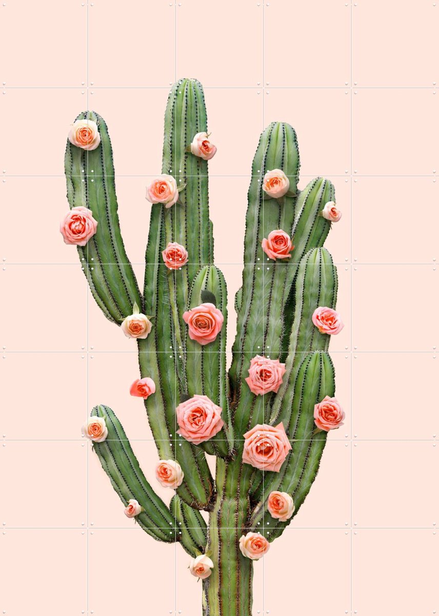 IXXI Cactus and Roses, Paul Fuentes - 100 x 140 cm - Gratis ophangtool - Grote wanddecoratie en posters - Digitale Kunst, Fotografie, Speels, Pop art