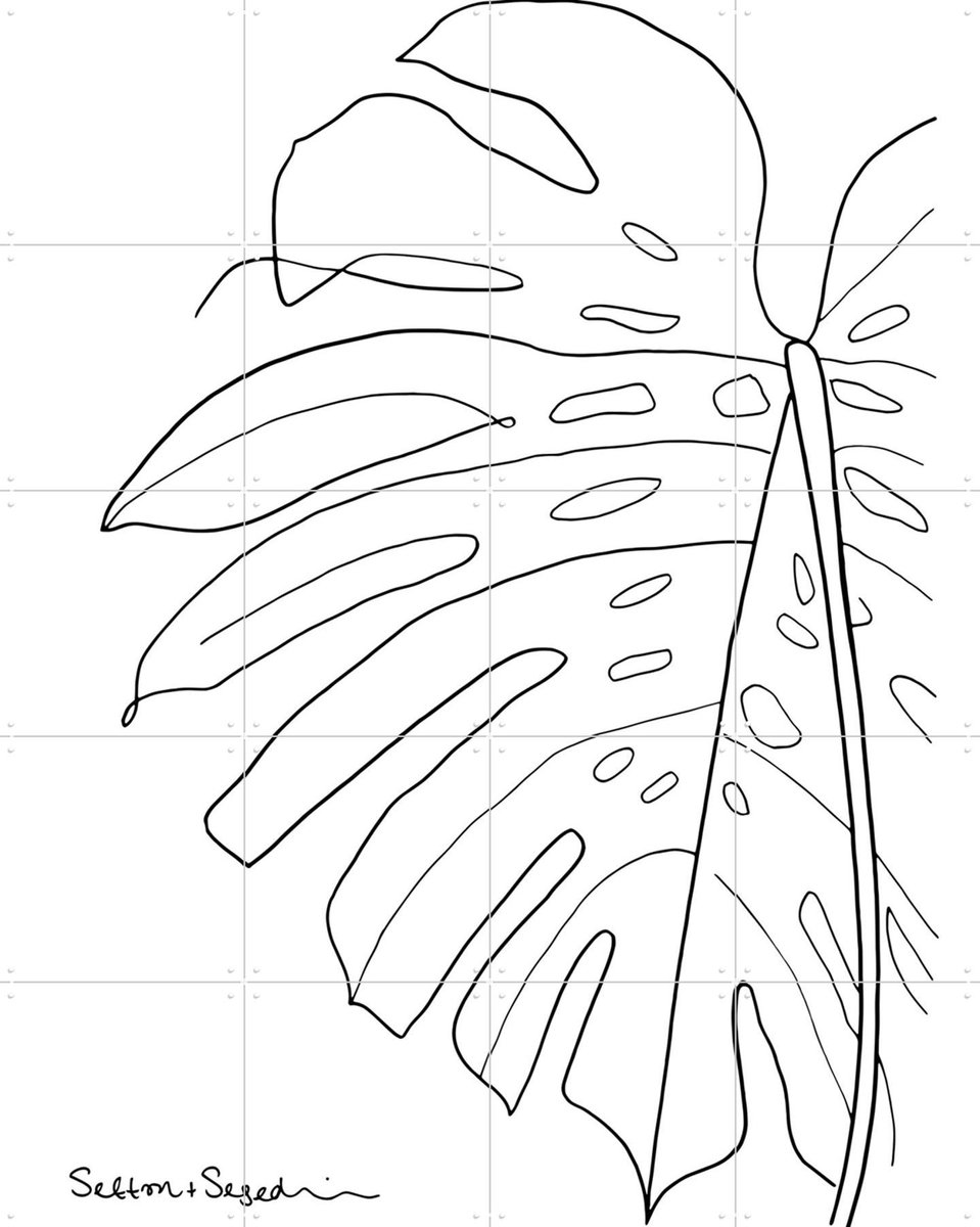 IXXI Monstera white, Sefton & Segedin - 80 x 100 cm - Gratis ophangtool - Grote wanddecoratie en posters - Minimalisme, Grafisch Ontwerp