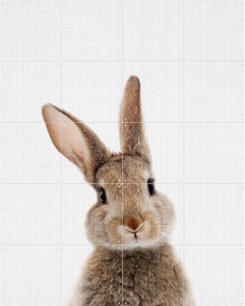 IXXI Print 315 Rabbit, Lila + Lola - 80 x 100 cm - Gratis ophangtool - Grote wanddecoratie en posters - Speels, Illustraties, Fotografie, Woonkamer