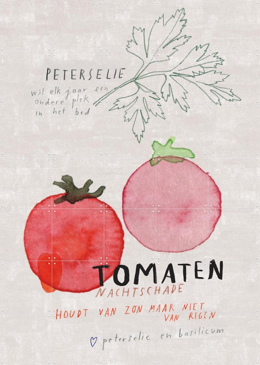 IXXI Tomaten NL, Signorinah - 100 x 140 cm - Gratis ophangtool - Grote wanddecoratie en posters - Illustraties, Speels, Aquarel, Woonkamer, Keuken