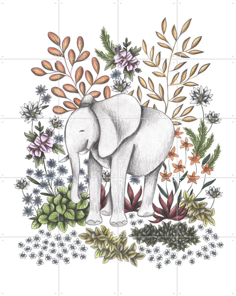 IXXI Safari Elephant, Cecilia Battaini - 80 x 100 cm - Gratis ophangtool - Grote wanddecoratie en posters - Illustraties, Fantasierijk, Line art