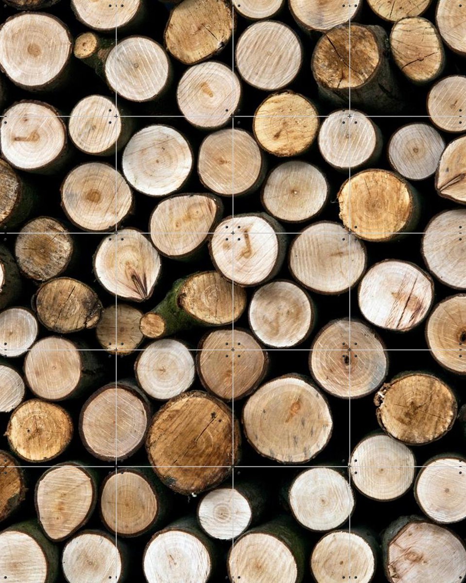 IXXI Wood, IXXI - 80 x 100 cm - Gratis ophangtool - Grote wanddecoratie en posters - Naturalisme, Fotografie, Slaapkamer, Eetkamer, Woonkamer, Natuur