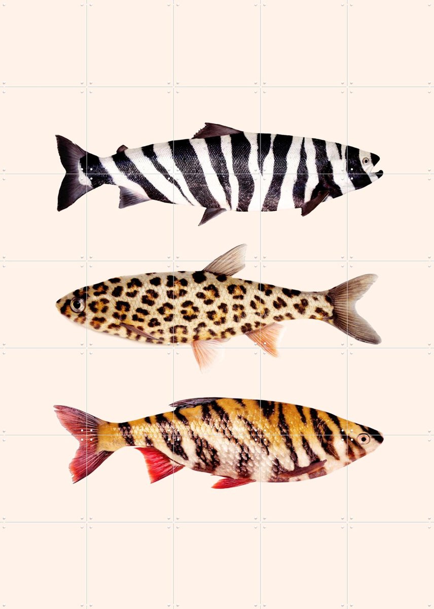 IXXI Fish Prints, Paul Fuentes - 100 x 140 cm - Gratis ophangtool - Grote wanddecoratie en posters - Illustraties, Grafisch Ontwerp, Speels