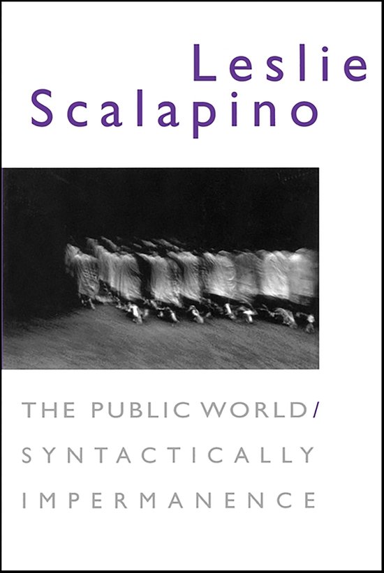 The Public World/Syntactically Impermanence - cover