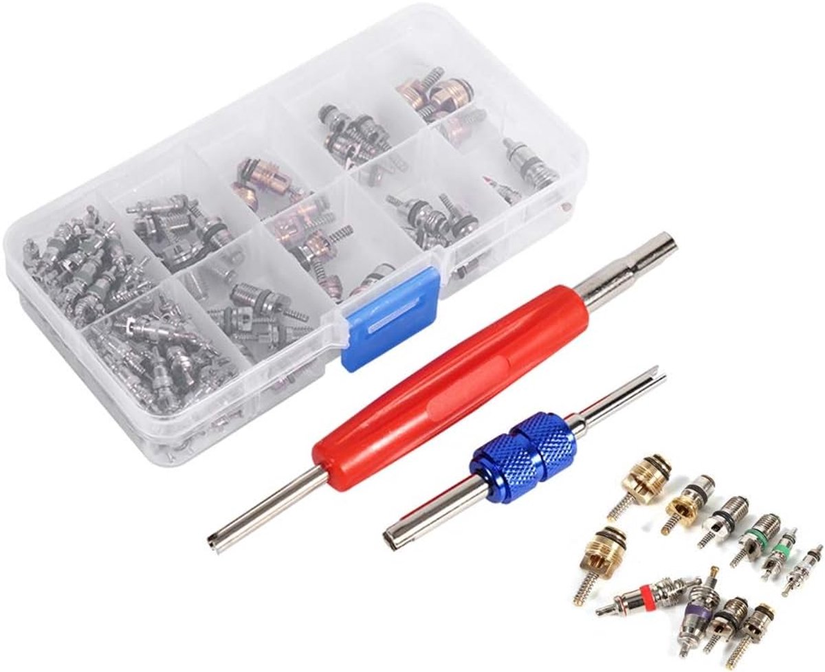 Ventiel Kernen Set - Koeling Reparatie - Auto Onderhoud - 102 Delig Assortiment - 13x7x2 cm