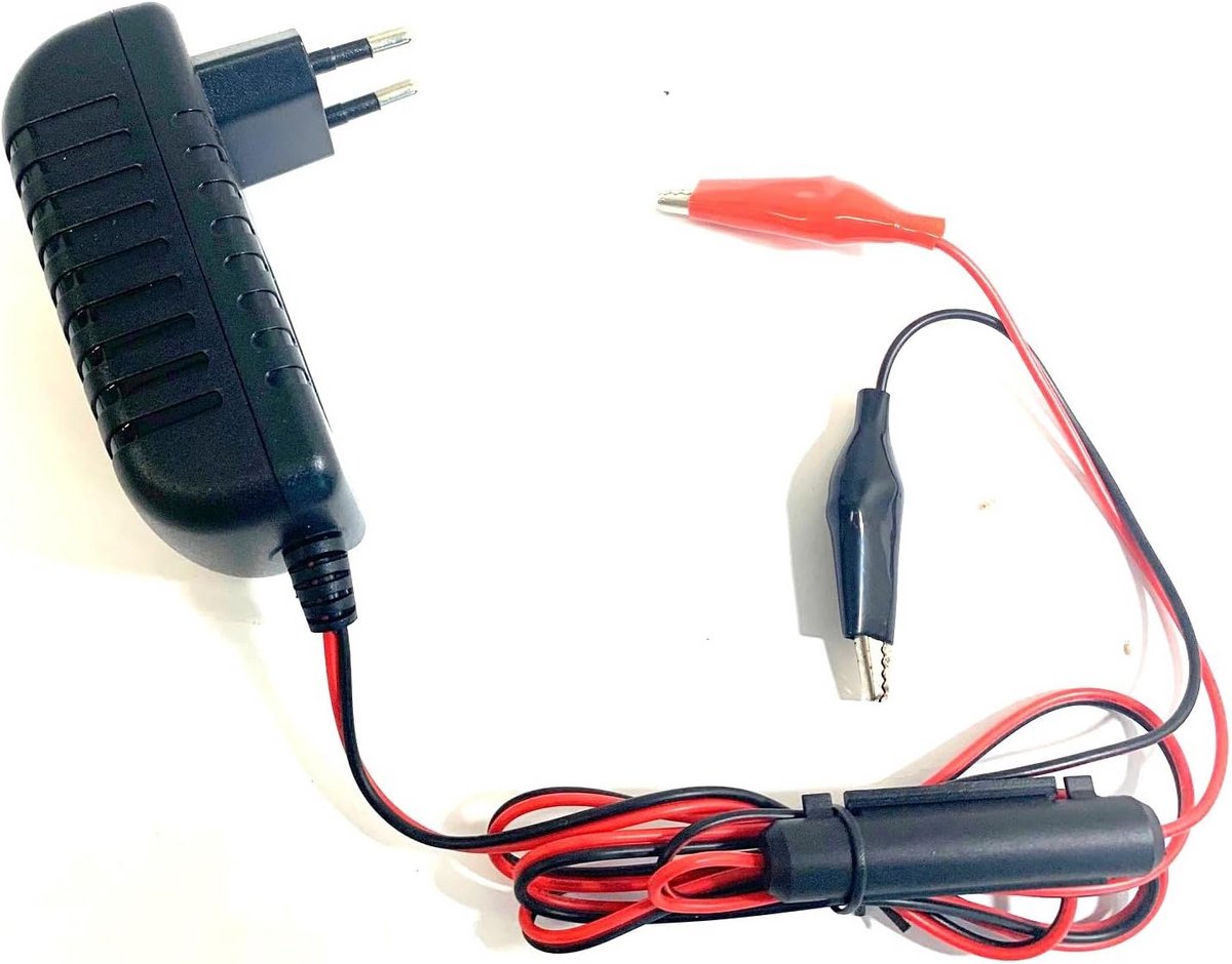 Batterijoplader - Accu Lader - LiFePo4 AGM - Intelligente Laadtechnologie - 18x6x7 cm