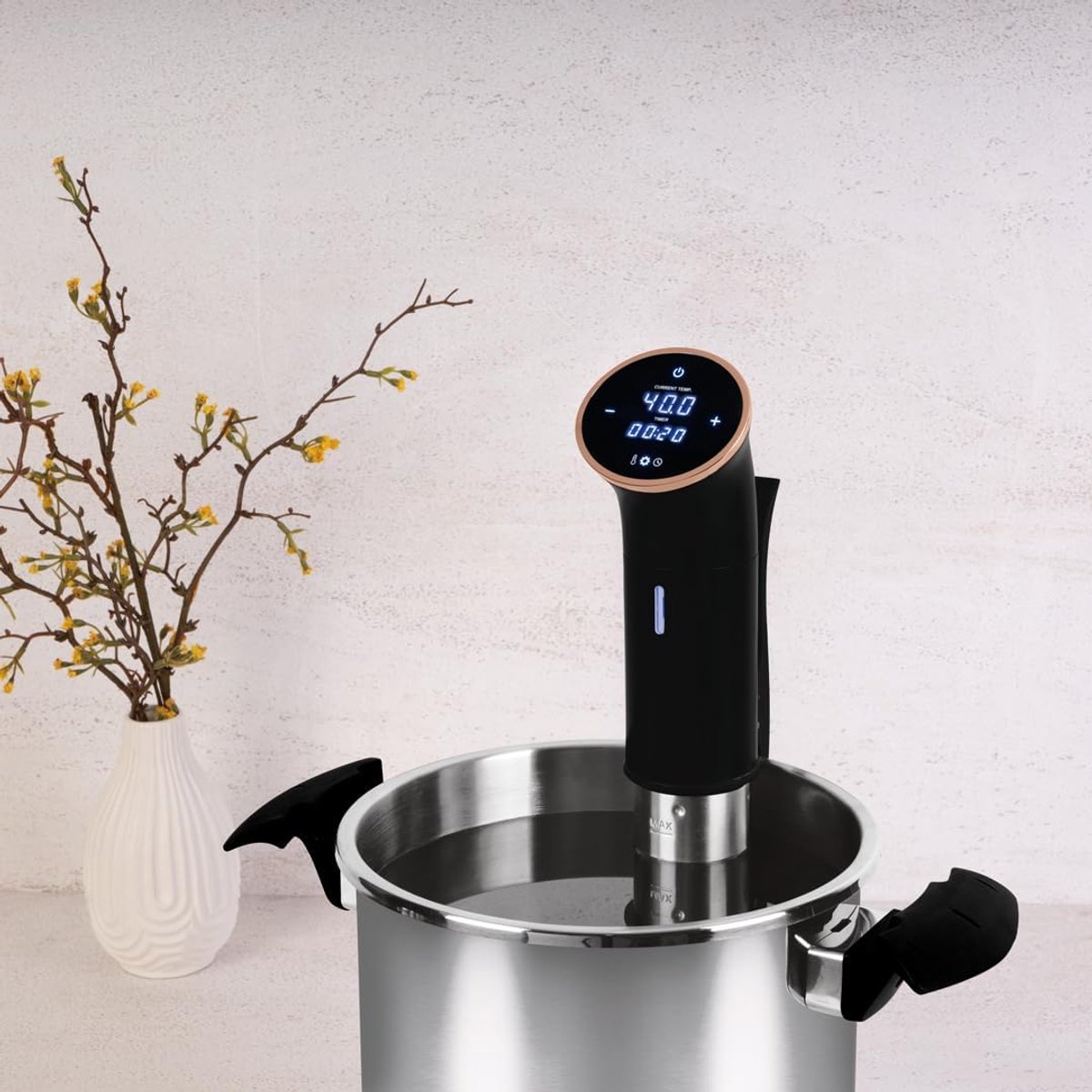 Sous Vide Staafmixer Vacuümkoker Precisie Gelijkmatig Koken Elegant Design Zwart