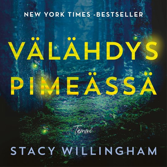 Välähdys pimeässä - cover